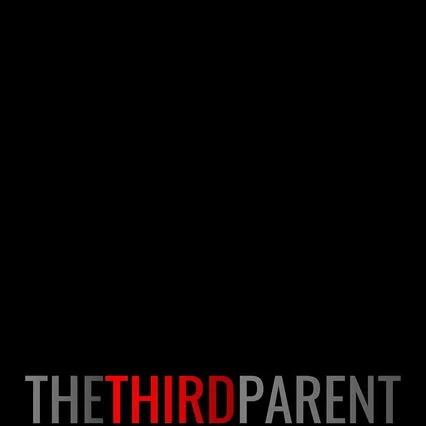 Miniature photo du film : The Third Parent