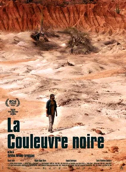 Affiche du film : La Couleuvre noire