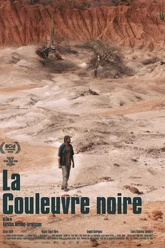 Affiche du film : La Couleuvre noire