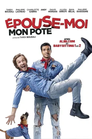 Photo du film : Epouse-moi mon pote