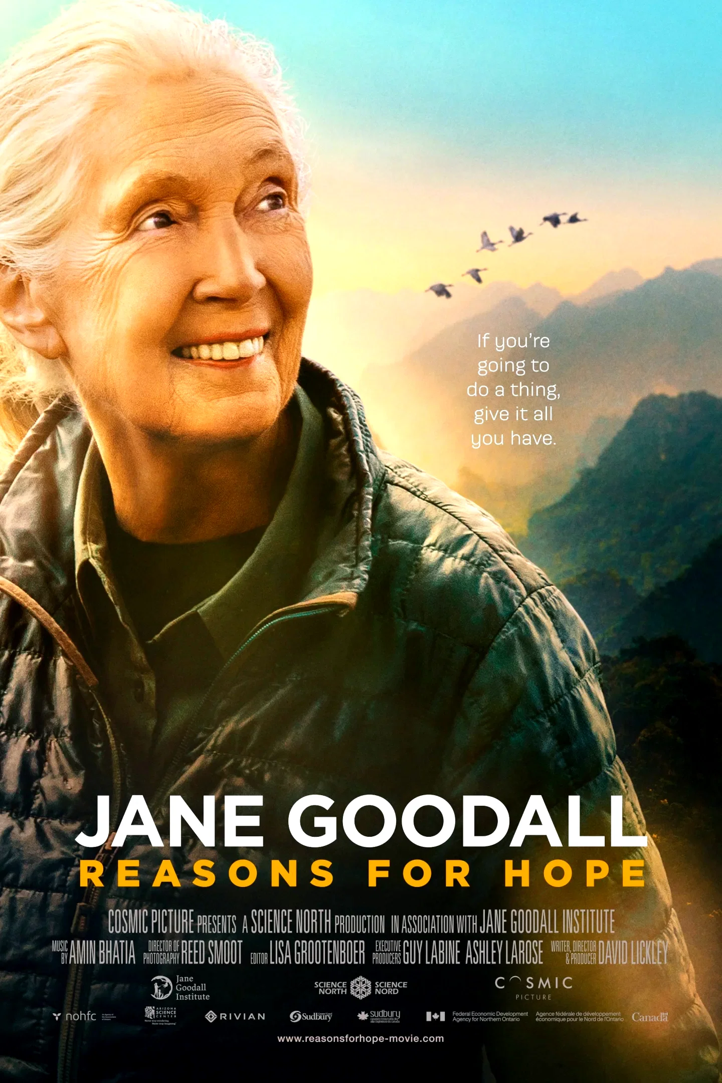 Photo du film : Jane Goodall : Une vie extraordinaire
