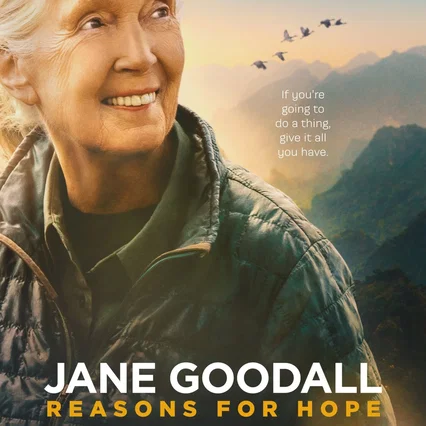 Miniature photo du film : Jane Goodall : Une vie extraordinaire