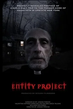 Affiche du film = Entity Project