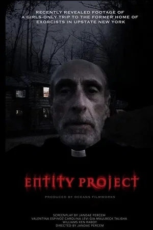 Affiche du film : Entity Project
