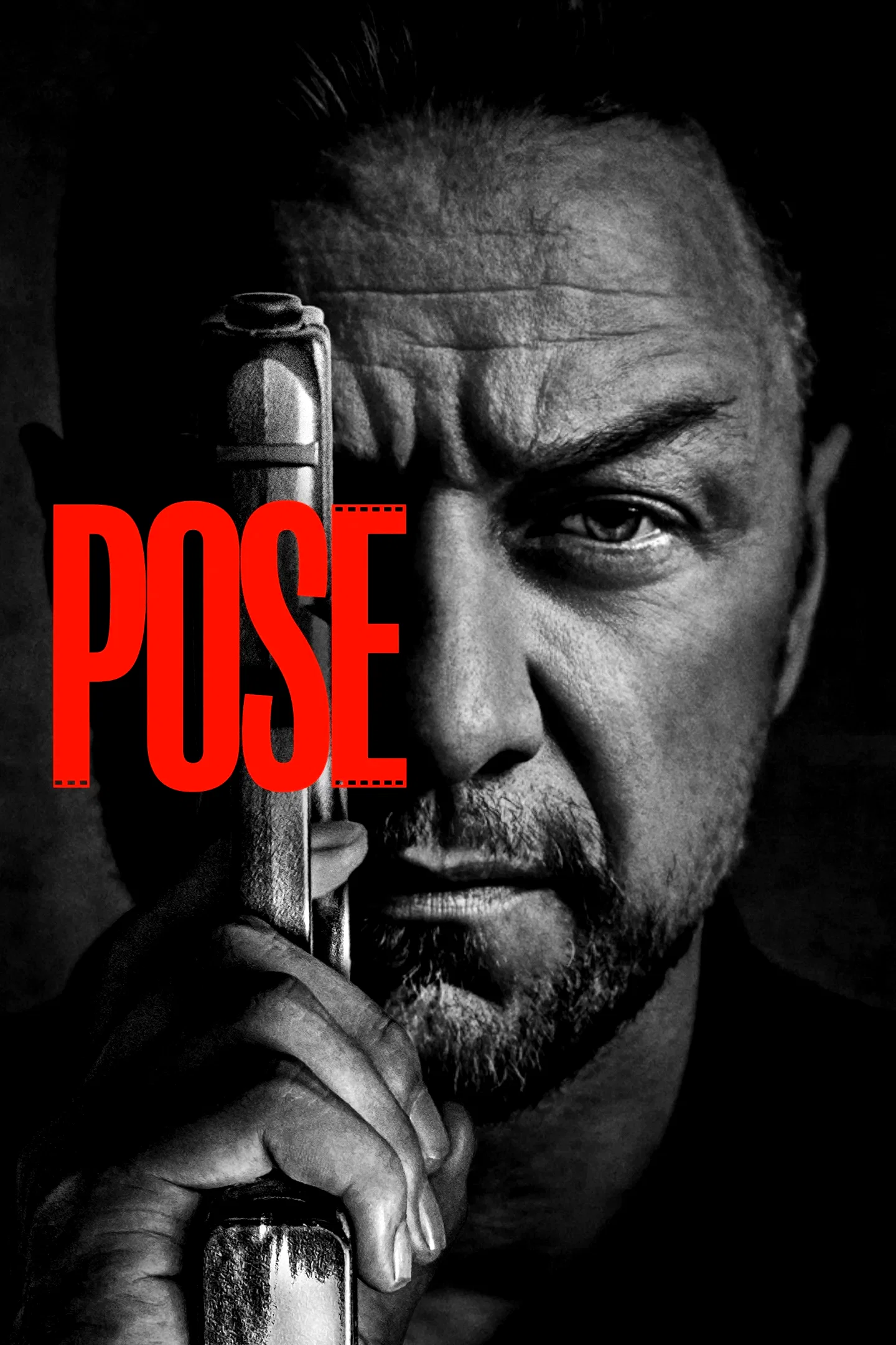 Affiche du film : Pose