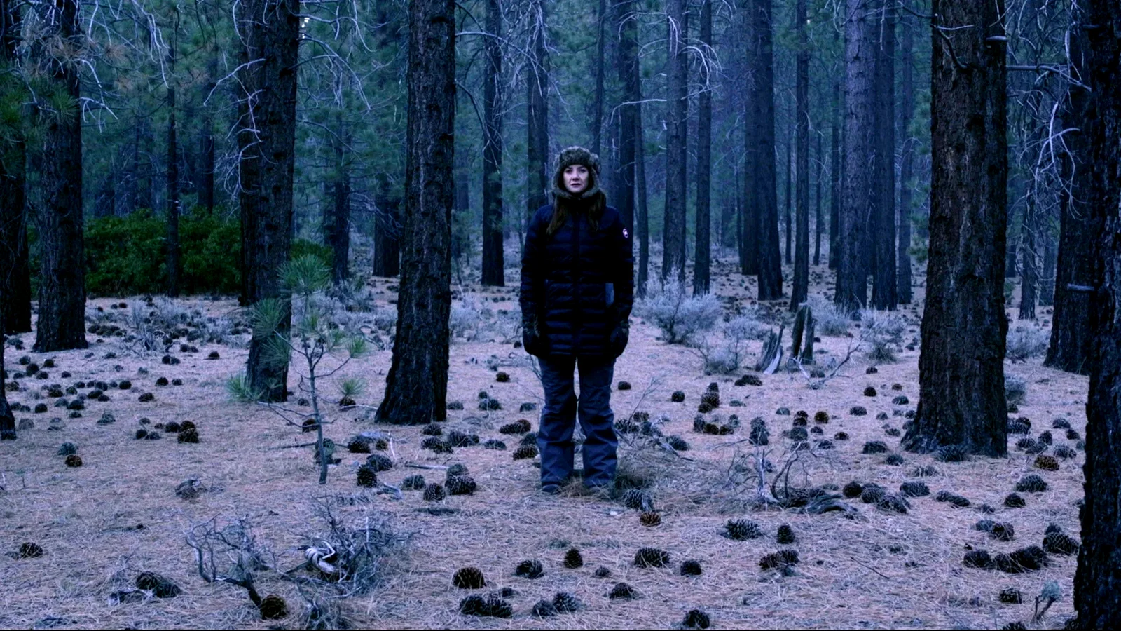 Photo 2 du film : Our Happy Place