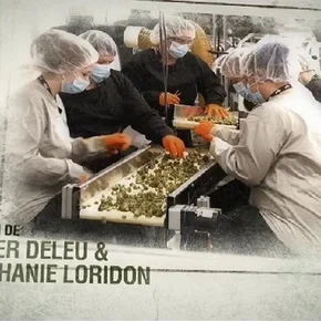 Photo du film : Cannabis : quand le deal est légal