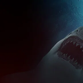 Photo du film : Great White Waters