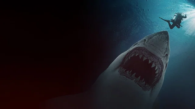 Photo 2 du film : Great White Waters