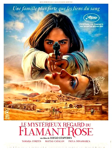 Affiche du film : Le Mystérieux regard du flamant rose