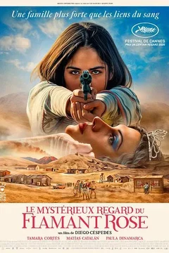 Affiche du film Le Mystérieux regard du flamant rose