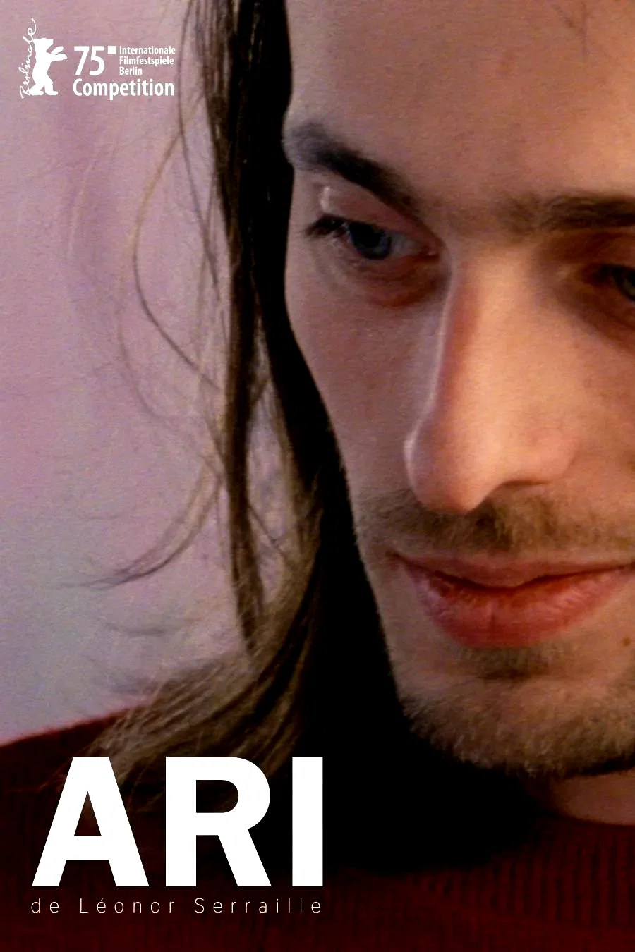 Affiche du film : Ari