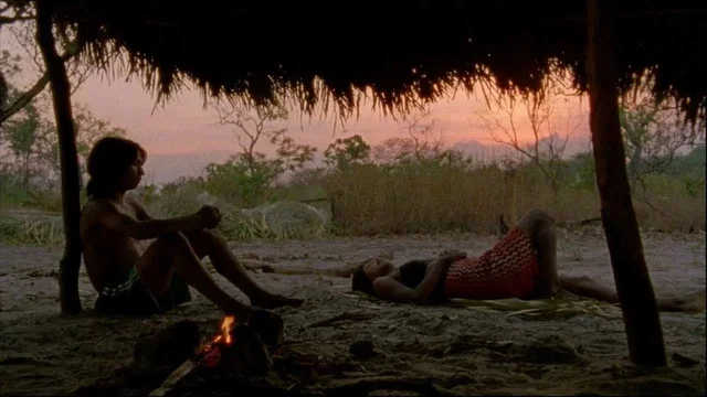 Photo du film : Le chant de la forêt