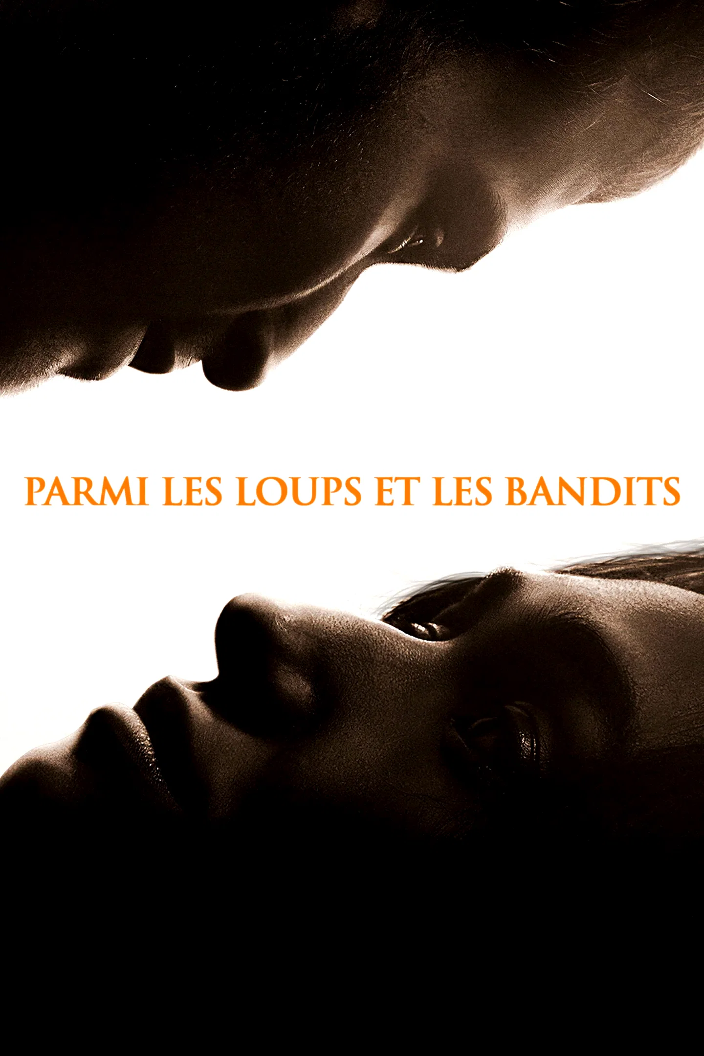 Affiche du film : Parmi les loups et les bandits