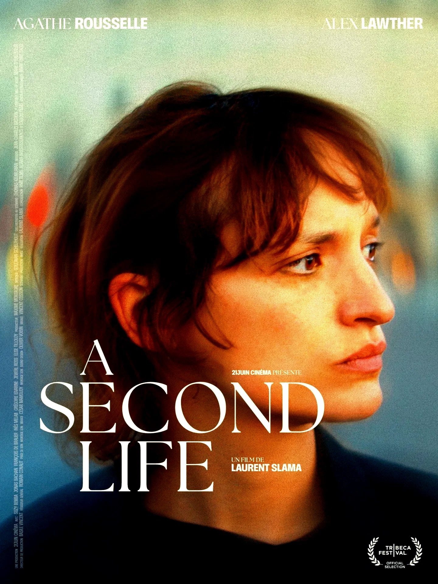 Affiche du film : A Second Life
