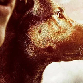 Photo du film : Max