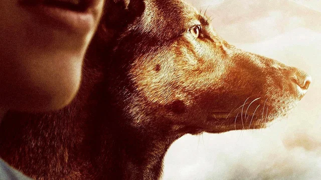 Photo 2 du film : Max
