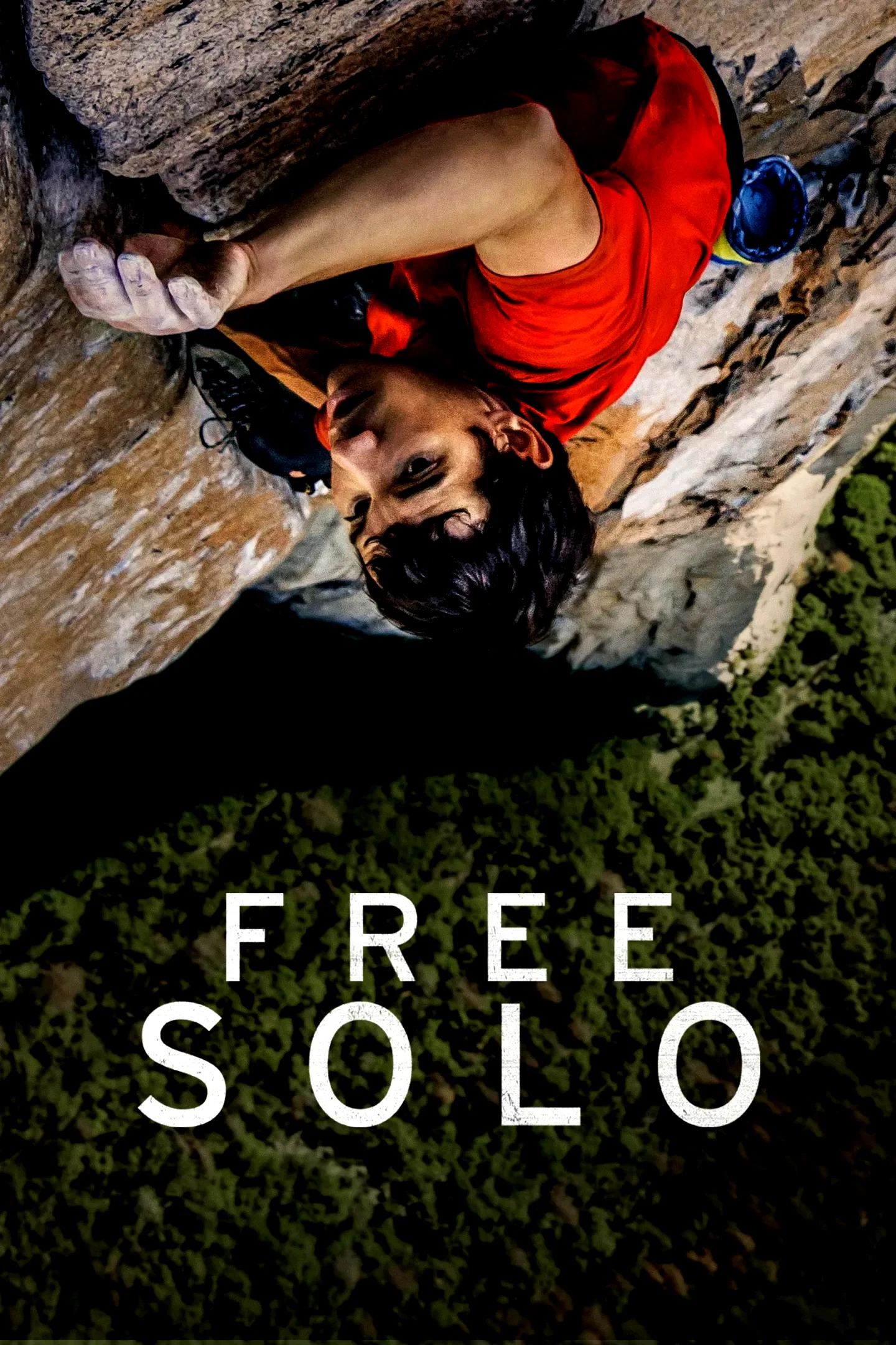 Affiche du film : Free Solo