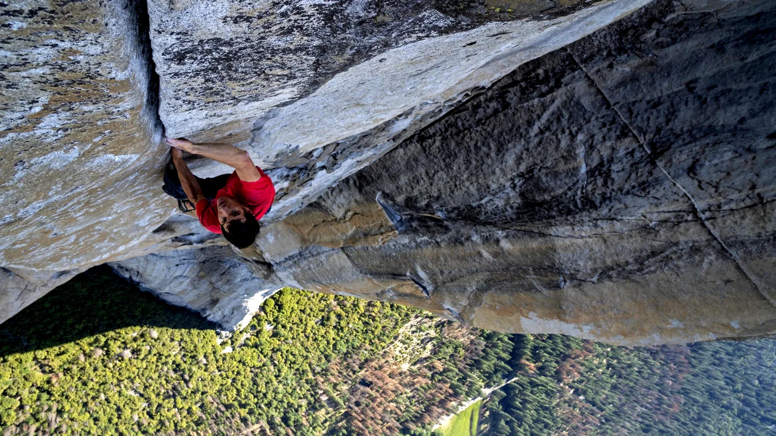 Photo 2 du film : Free Solo