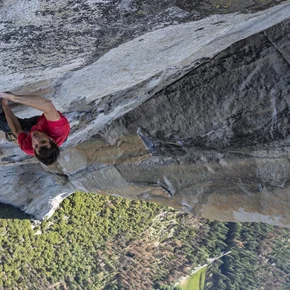Photo du film : Free Solo