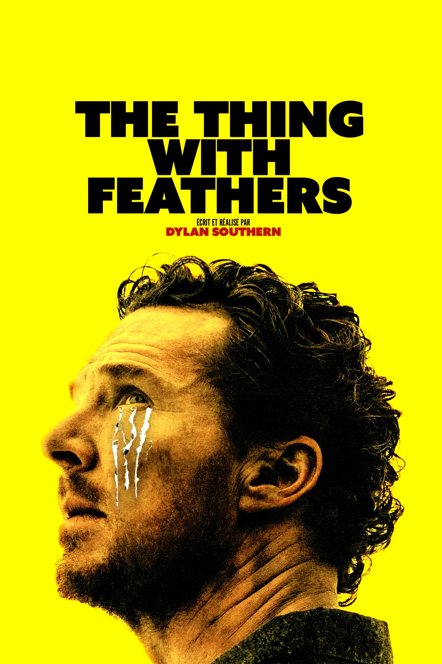 Affiche du film : The Thing With Feathers