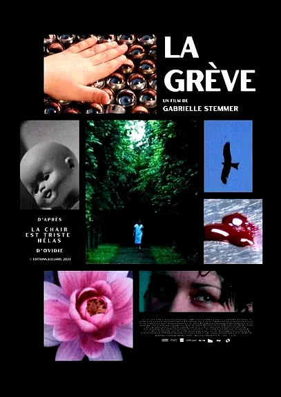 Affiche du film : La grève