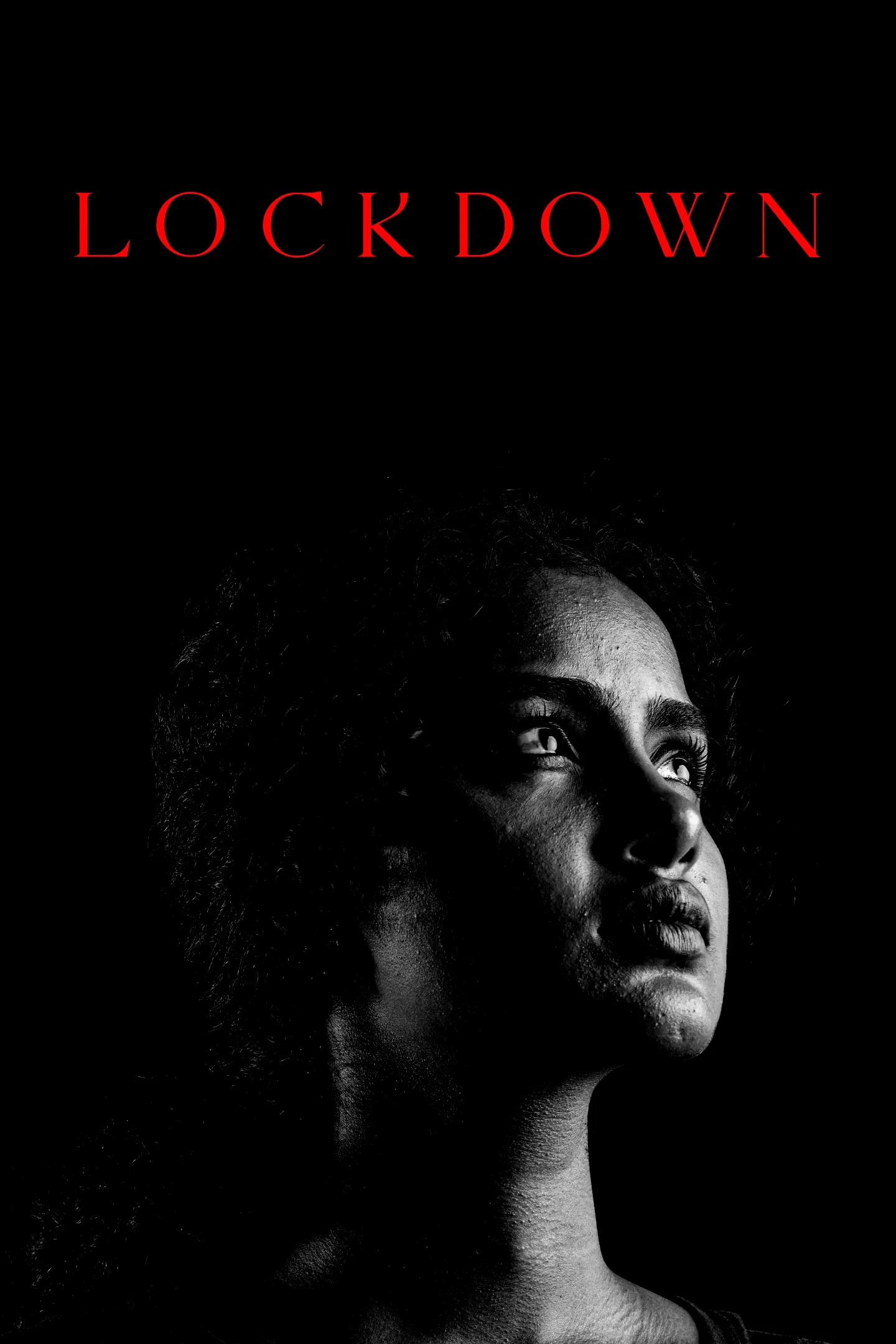 Affiche du film : Lockdown