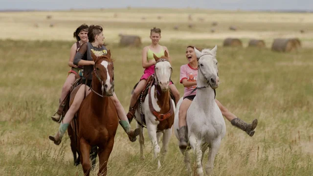 Affiche du film : The New West