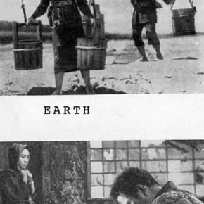 Photo du film : La terre