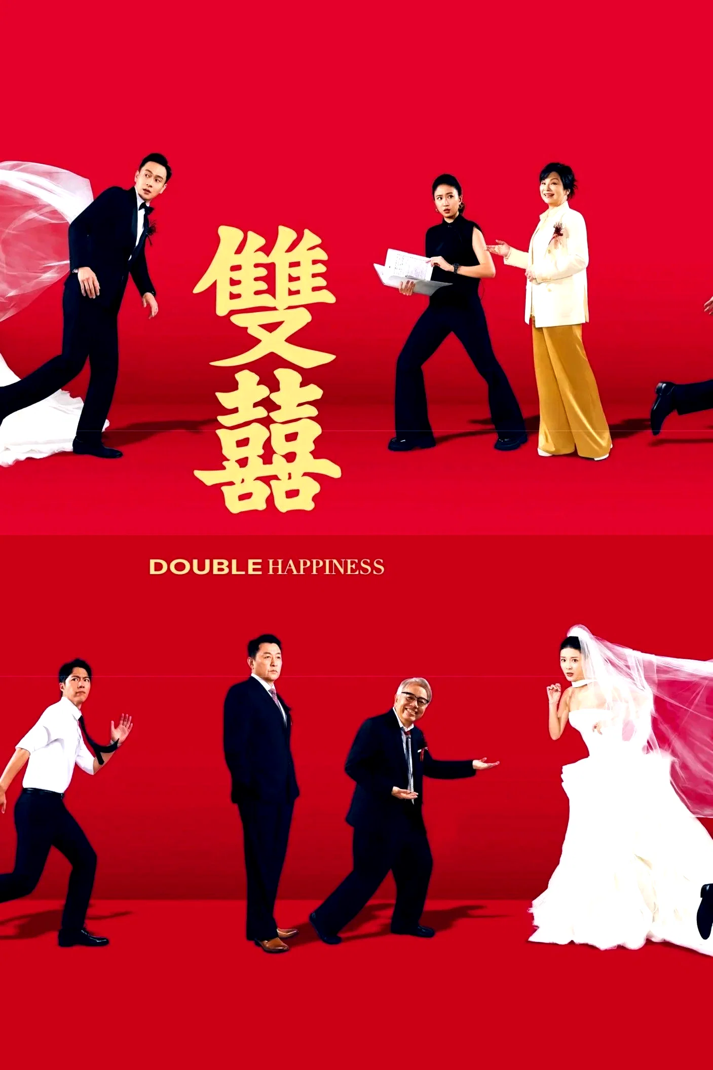 Affiche du film : Double Happiness