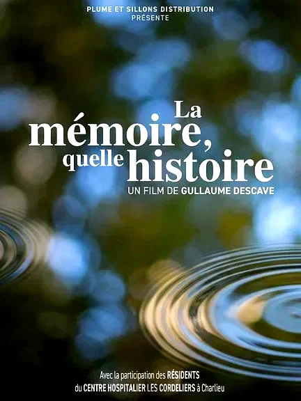 Affiche du film : La Mémoire, quelle histoire