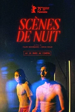 Affiche du film Scènes de nuit