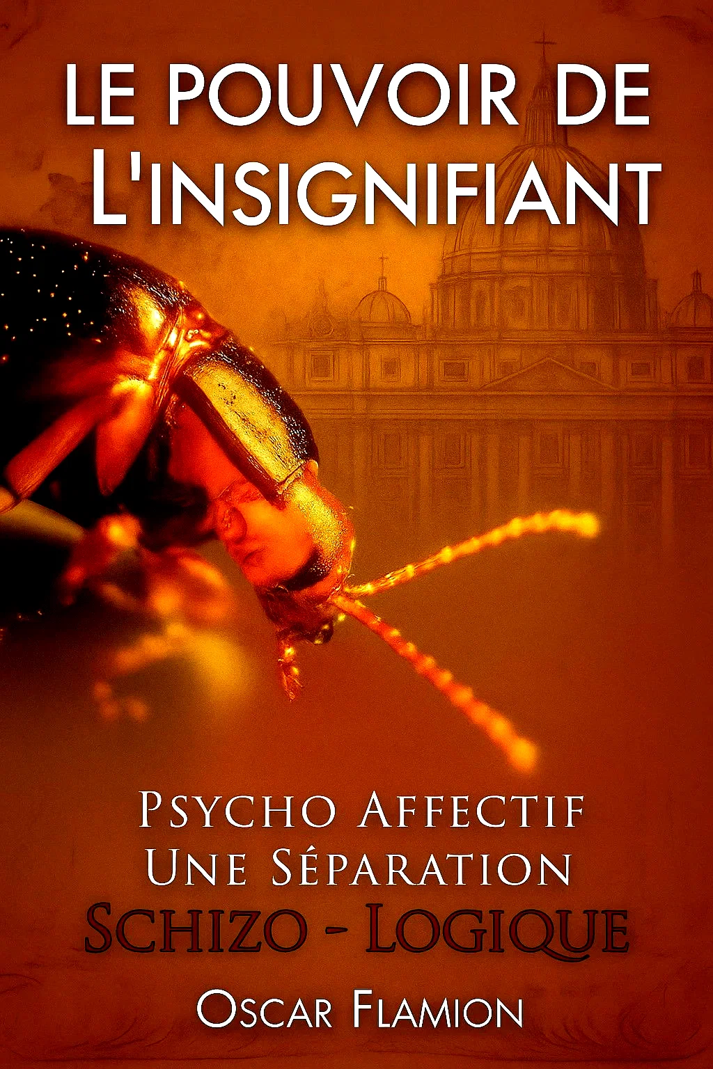 Photo 1 du film : Le Pouvoir de l’Insignifiant