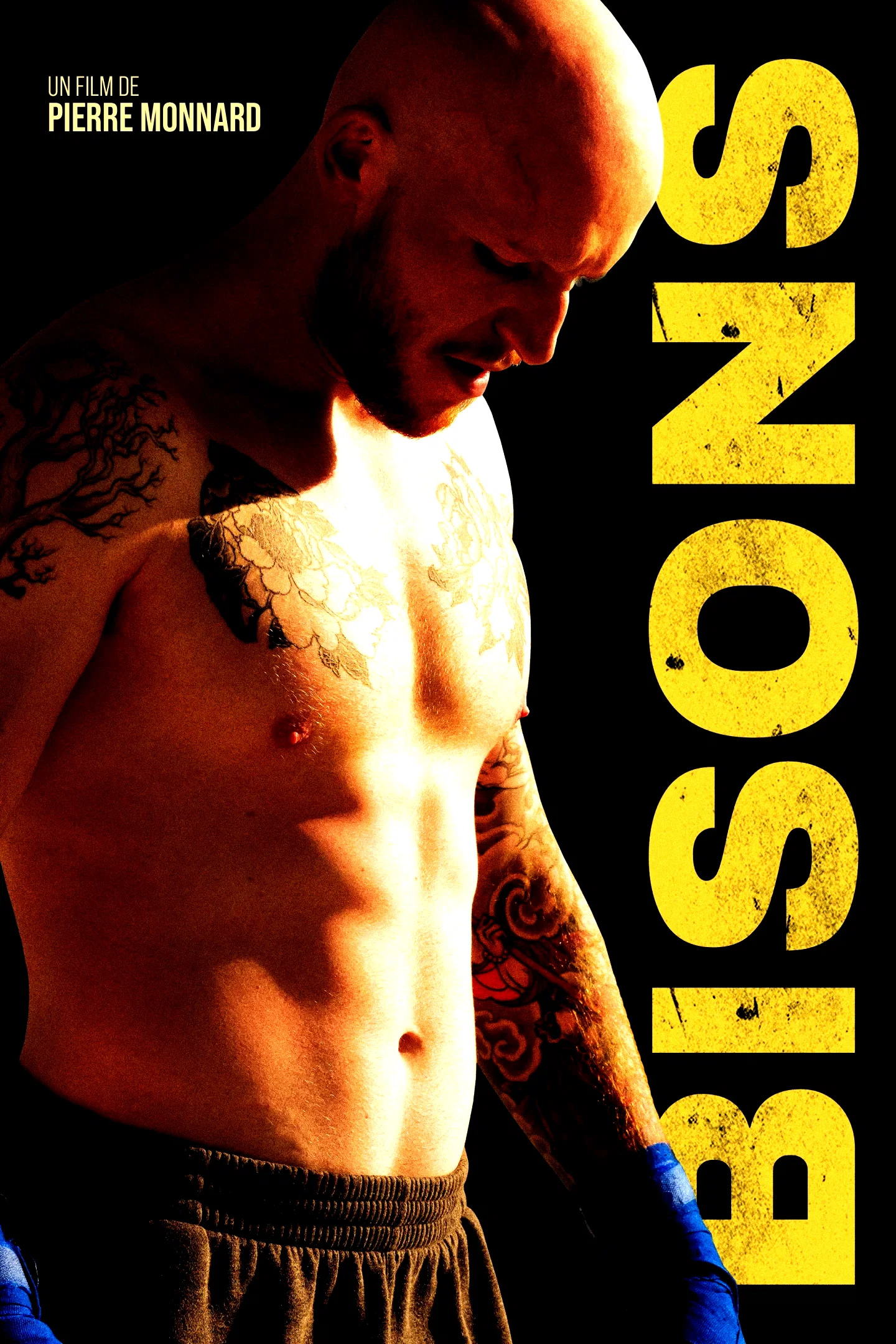 Photo 4 du film : Bisons