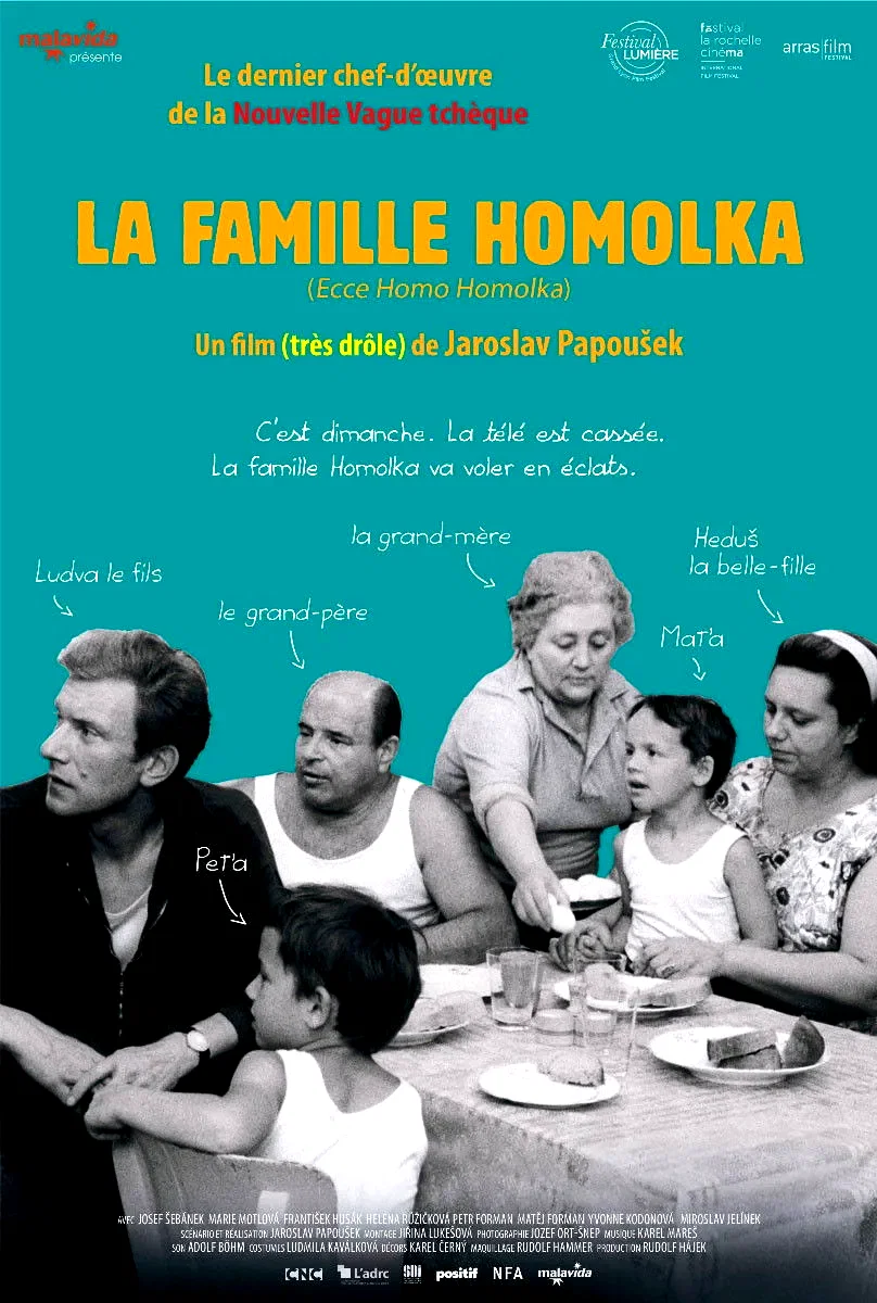 Affiche du film : La famille homolka