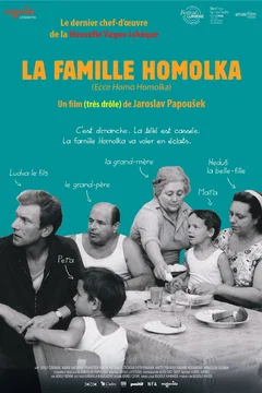 Affiche du film = La famille homolka