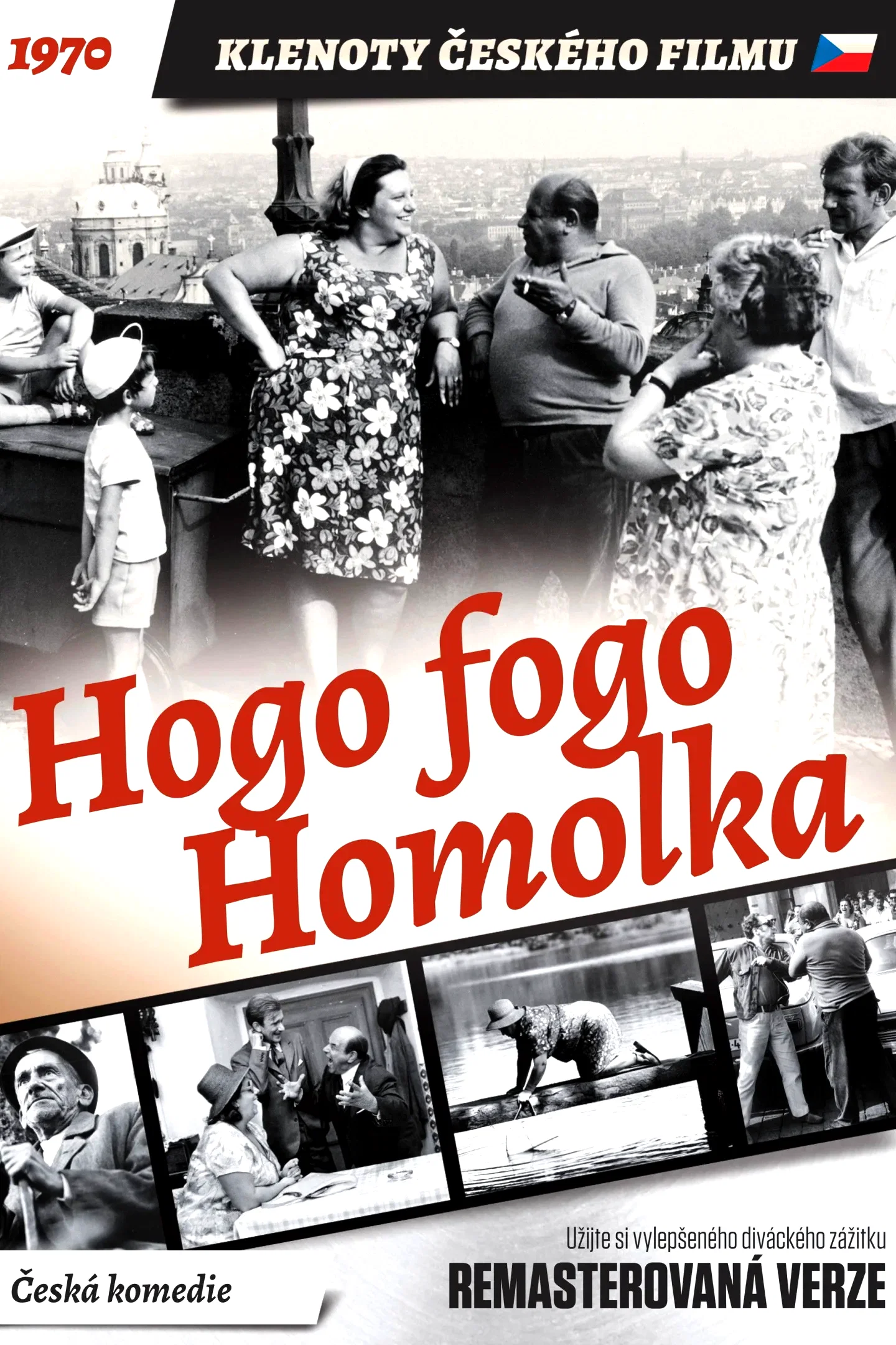 Affiche du film : Hogo fogo Homolka