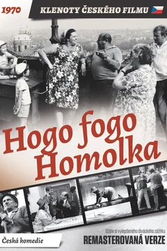 Affiche du film Hogo fogo Homolka