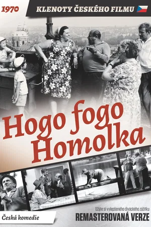 Affiche du film : Hogo fogo Homolka