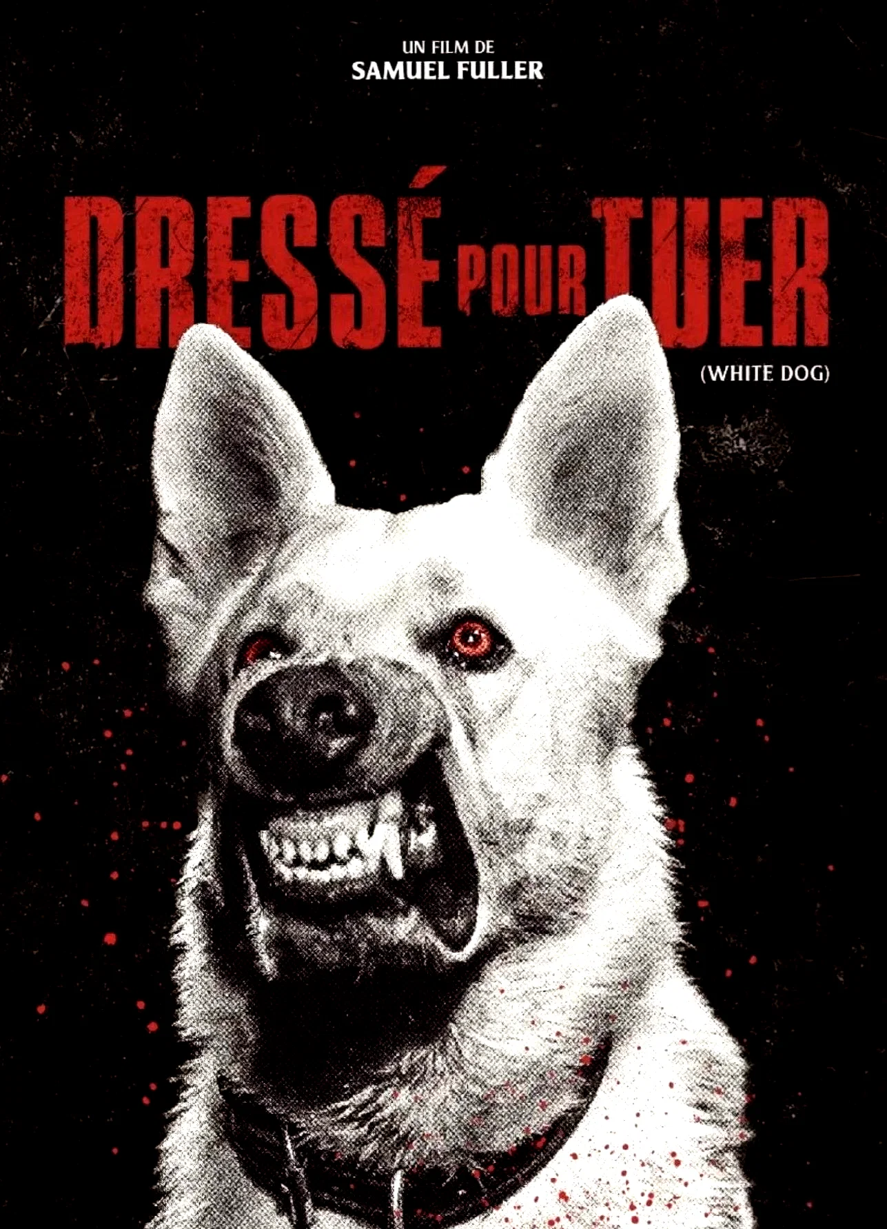 Photo 8 du film : Dressé pour tuer