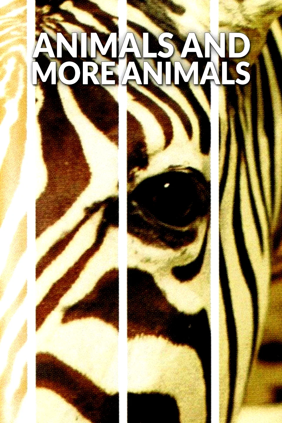 Affiche du film : Un animal, des animaux