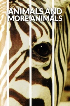 Affiche du film = Un animal, des animaux
