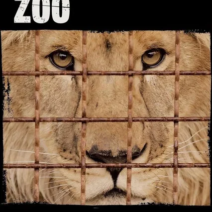 Miniature photo du film : Checkpoint Zoo