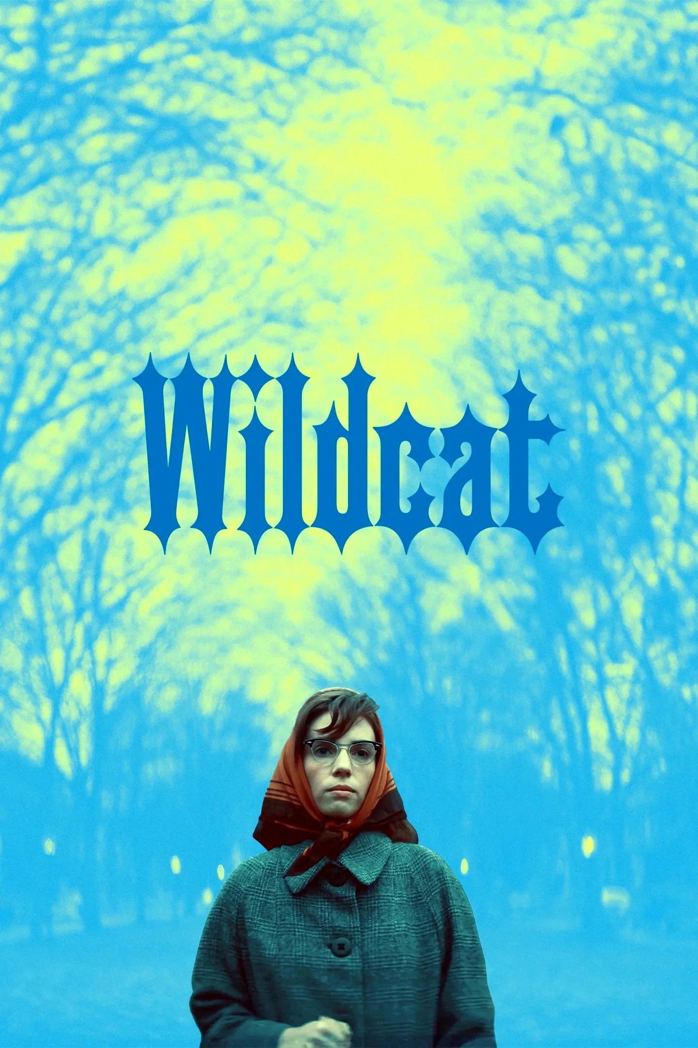 Affiche du film : Wildcat