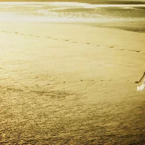 Photo du film : Erik Satie - Entre les notes