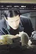 Affiche du film Willard