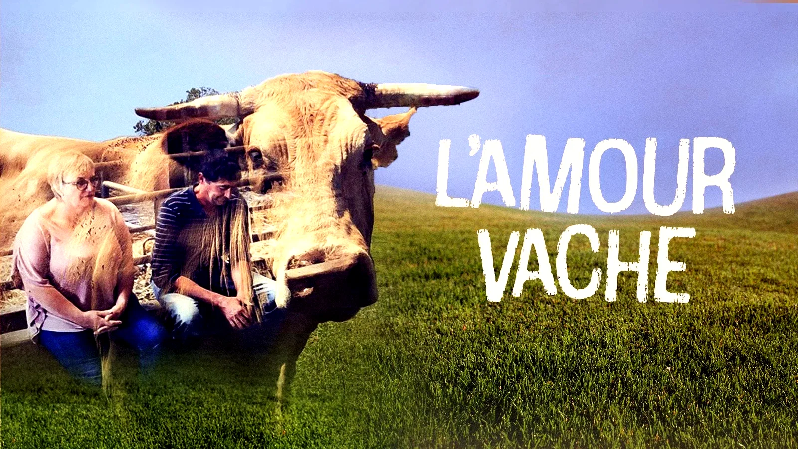 Photo 1 du film : L'Amour vache