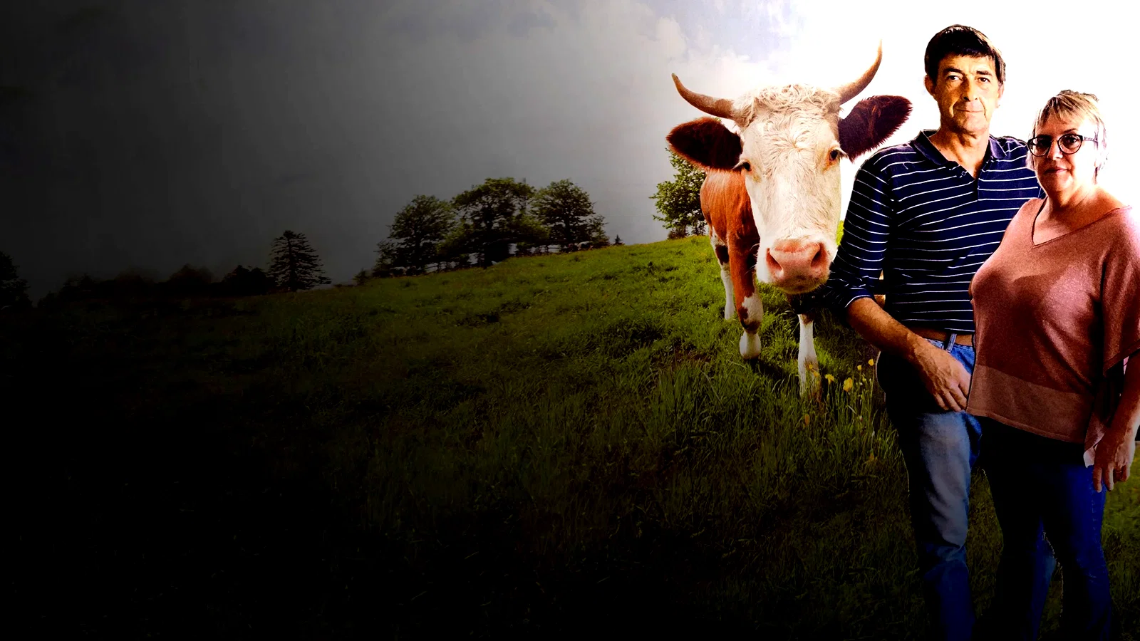 Photo 4 du film : L'Amour vache