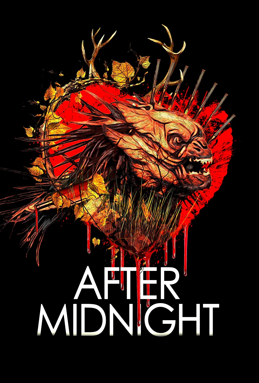 Affiche du film : After Midnight