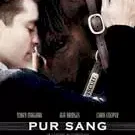 Miniature photo du film : Pur-Sang, la légende de Seabiscuit